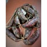 Salsiccia  di Suino della Tuscia Stagionata di Fegato