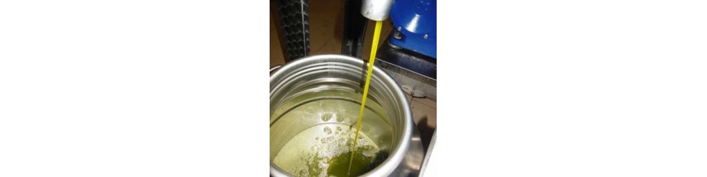 Vendita online di olio extravergine di oliva